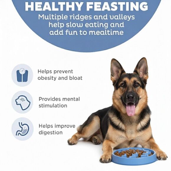 NWT Outward Hound Slo Bowl Blue LARGE Slow Feeder Anti Bloat Dog Bowl - Picture 4 of 9